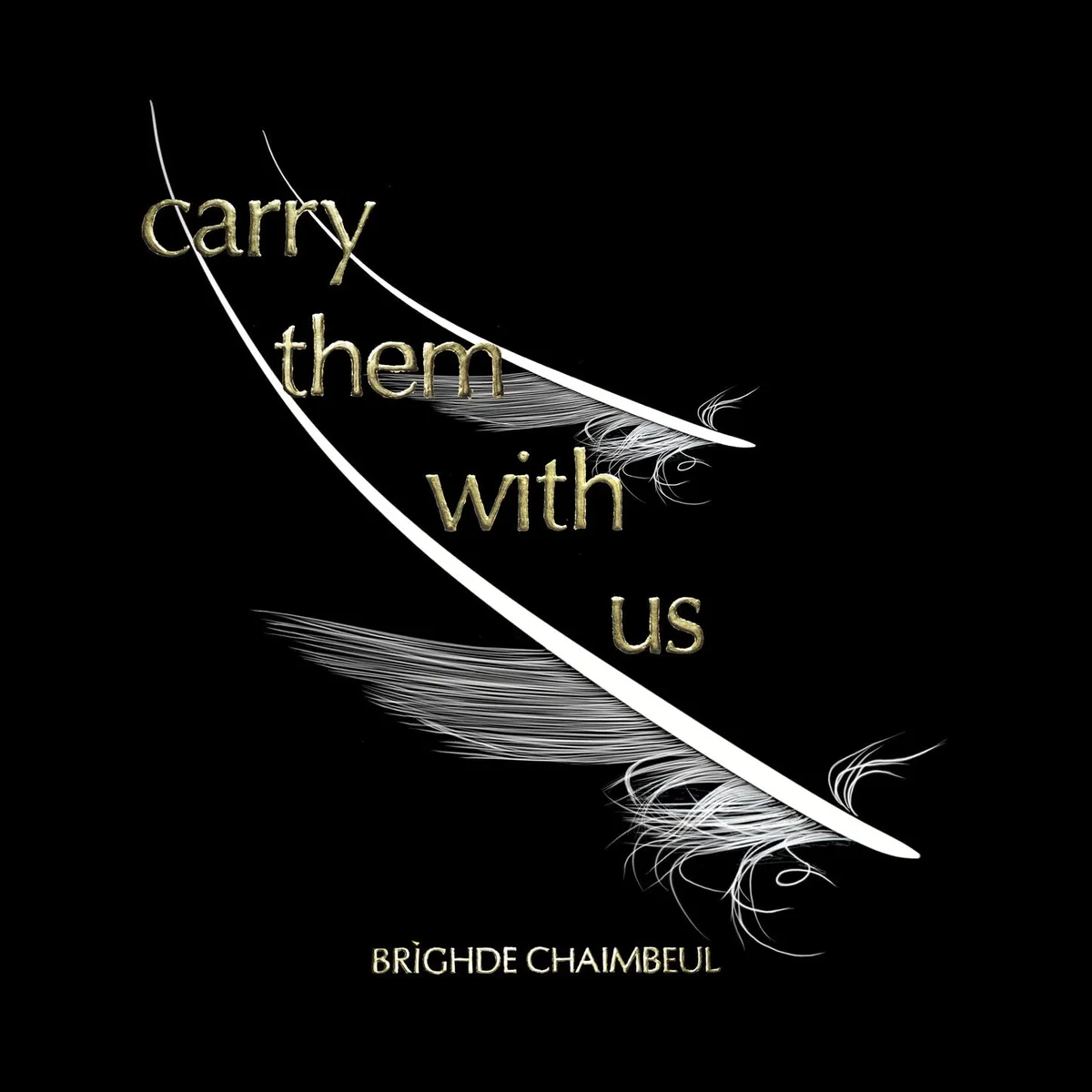 Cover for Brìghde Chaimbeul, Colin Stetson - Carry Them With Us