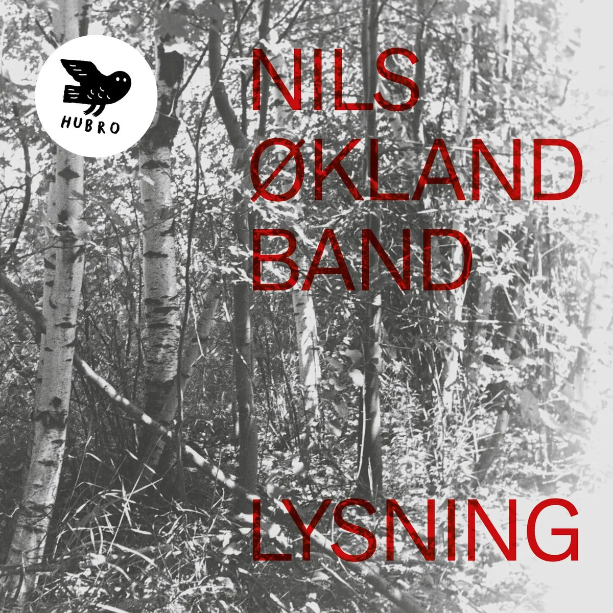 Cover for Nils Økland - Lysning