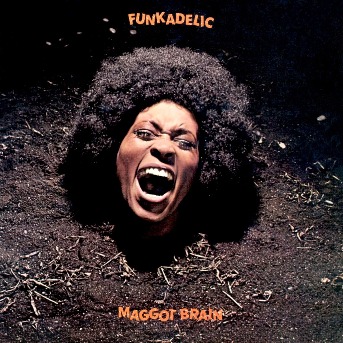 Cover for Funkadelic - Maggot Brain