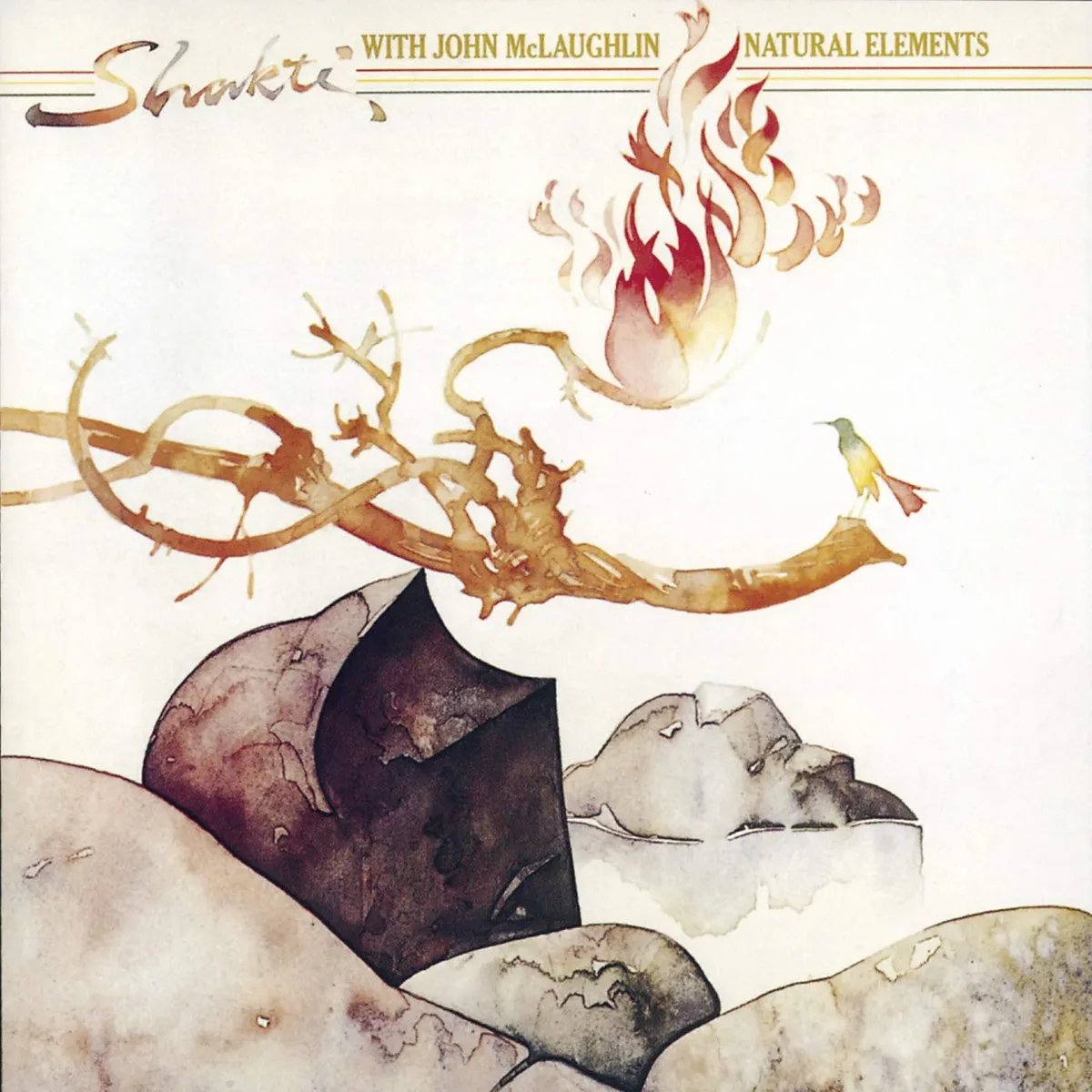 Cover for Shakti - Natural Elements