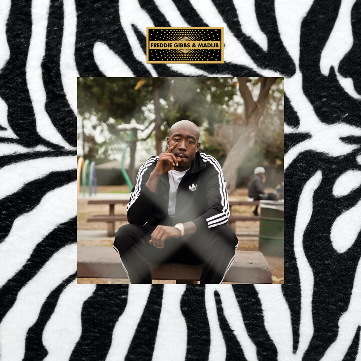Cover for Freddie Gibbs, Madlib - Piñata