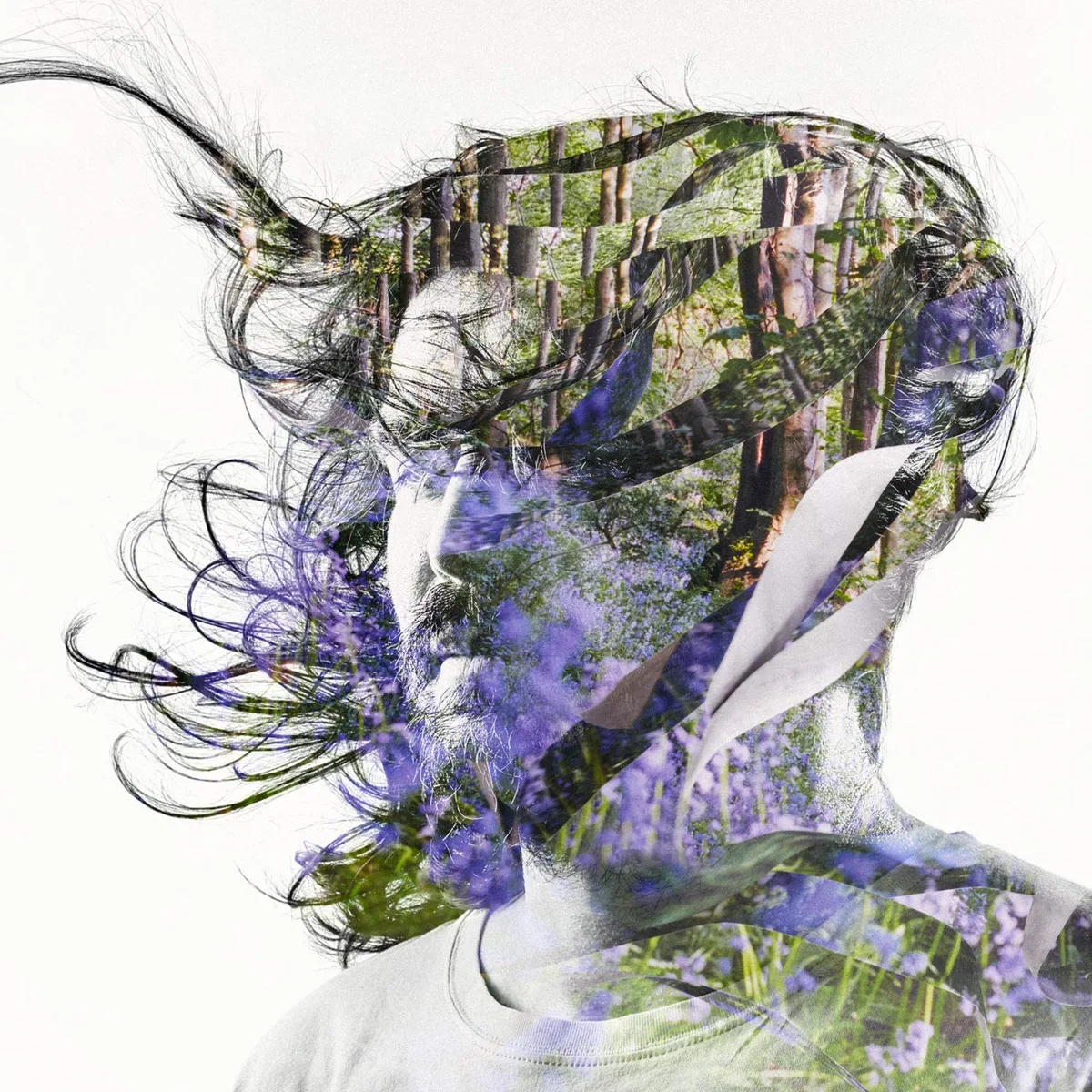 Cover for Bibio - Ribbons