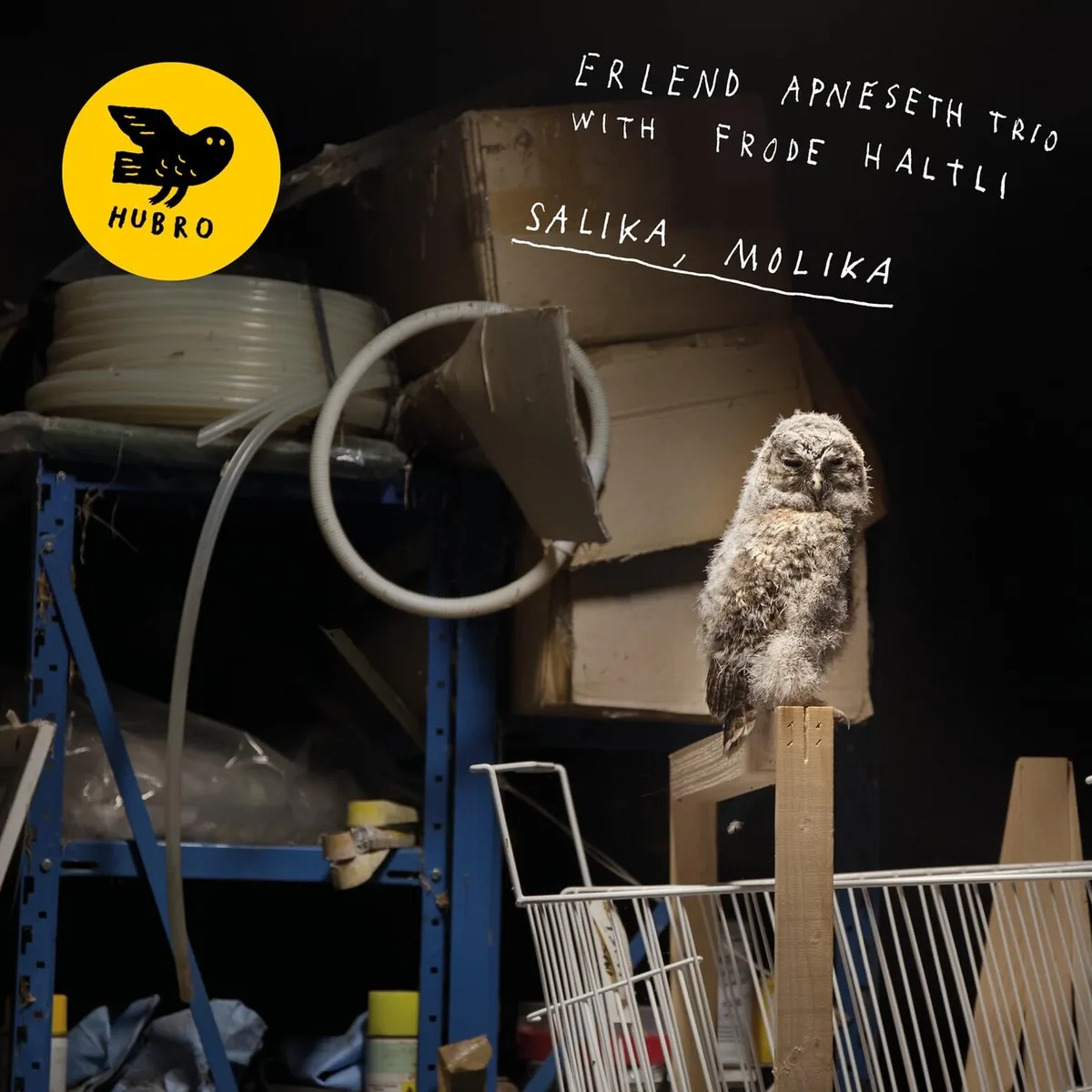 Cover for Erlend Apneseth Trio, Frode Haltli - Salika, Molika