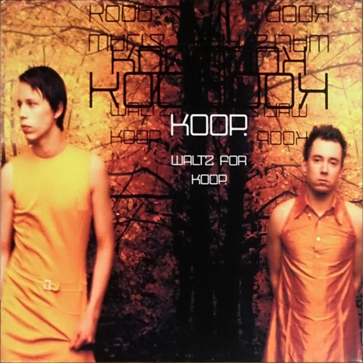 Cover for Koop - Waltz For Koop